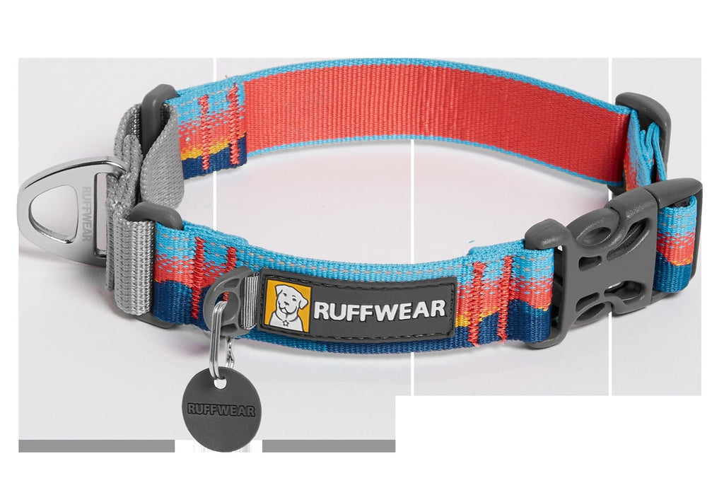 Web ReactionTM Martingale Dog Collar With Buckle