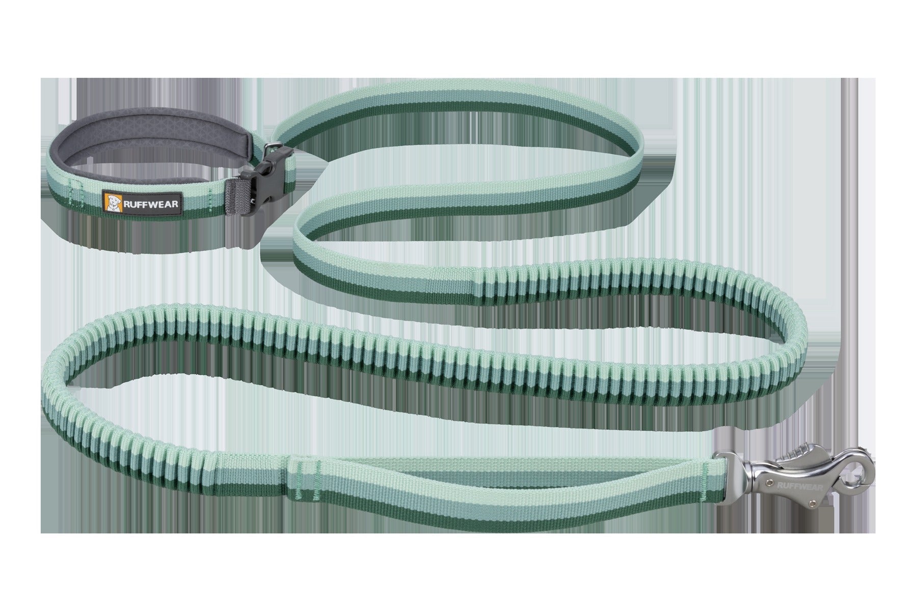 RoamerTM Bungee Dog Leash