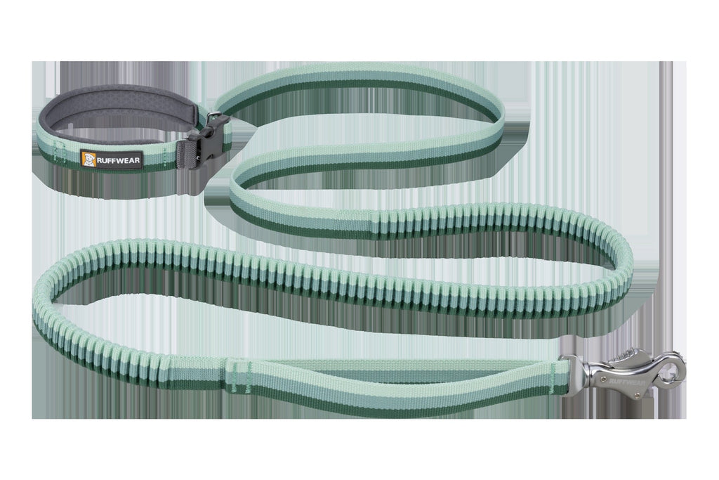 RoamerTM Bungee Dog Leash