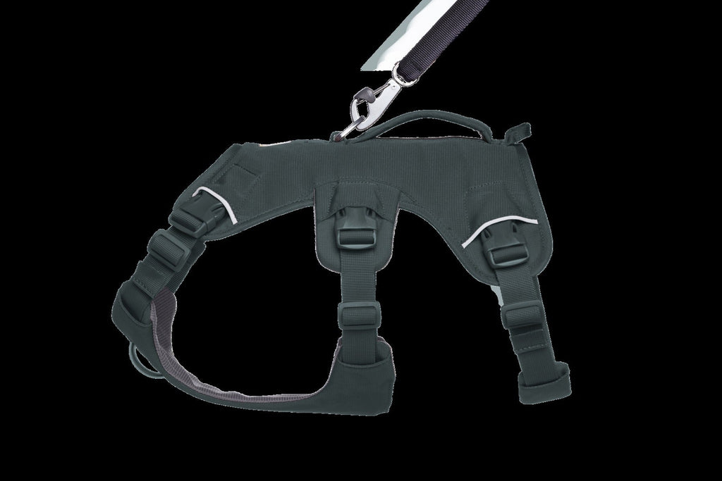 Web MasterTM Dog Harness with Handle