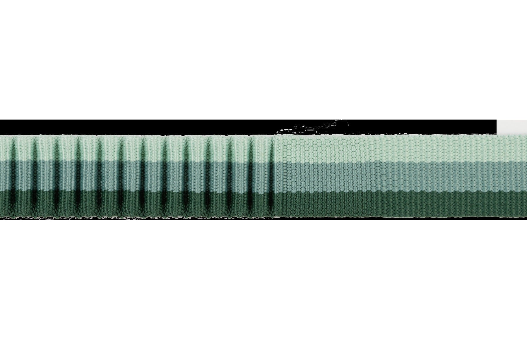 RoamerTM Bungee Dog Leash