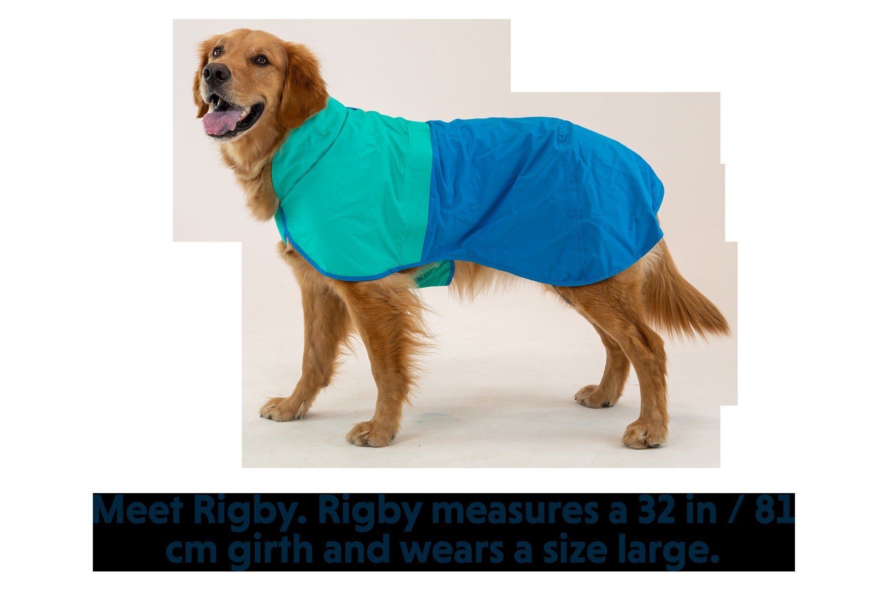 Sun ShowerTM Dog Raincoat