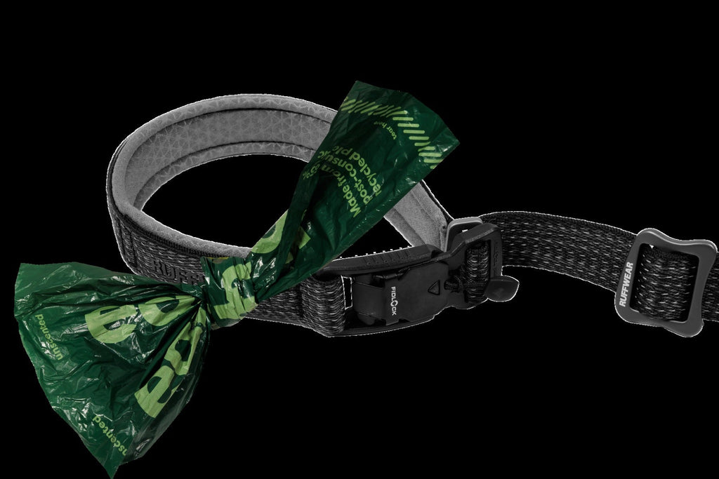 RidgelineTM Leash