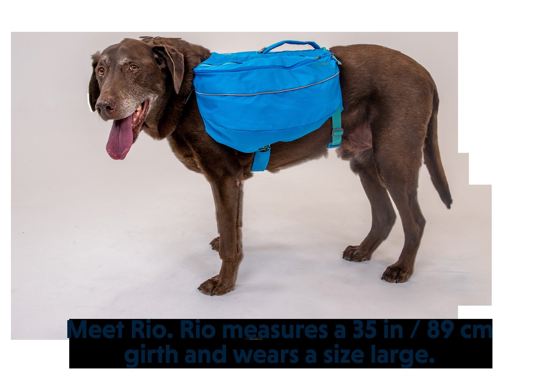 ApproachTM Dog Backpack