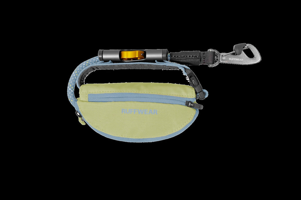Hitch HikerTM Leash