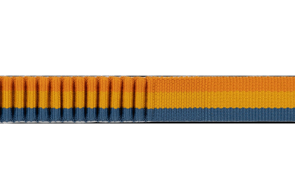 RoamerTM Bungee Dog Leash