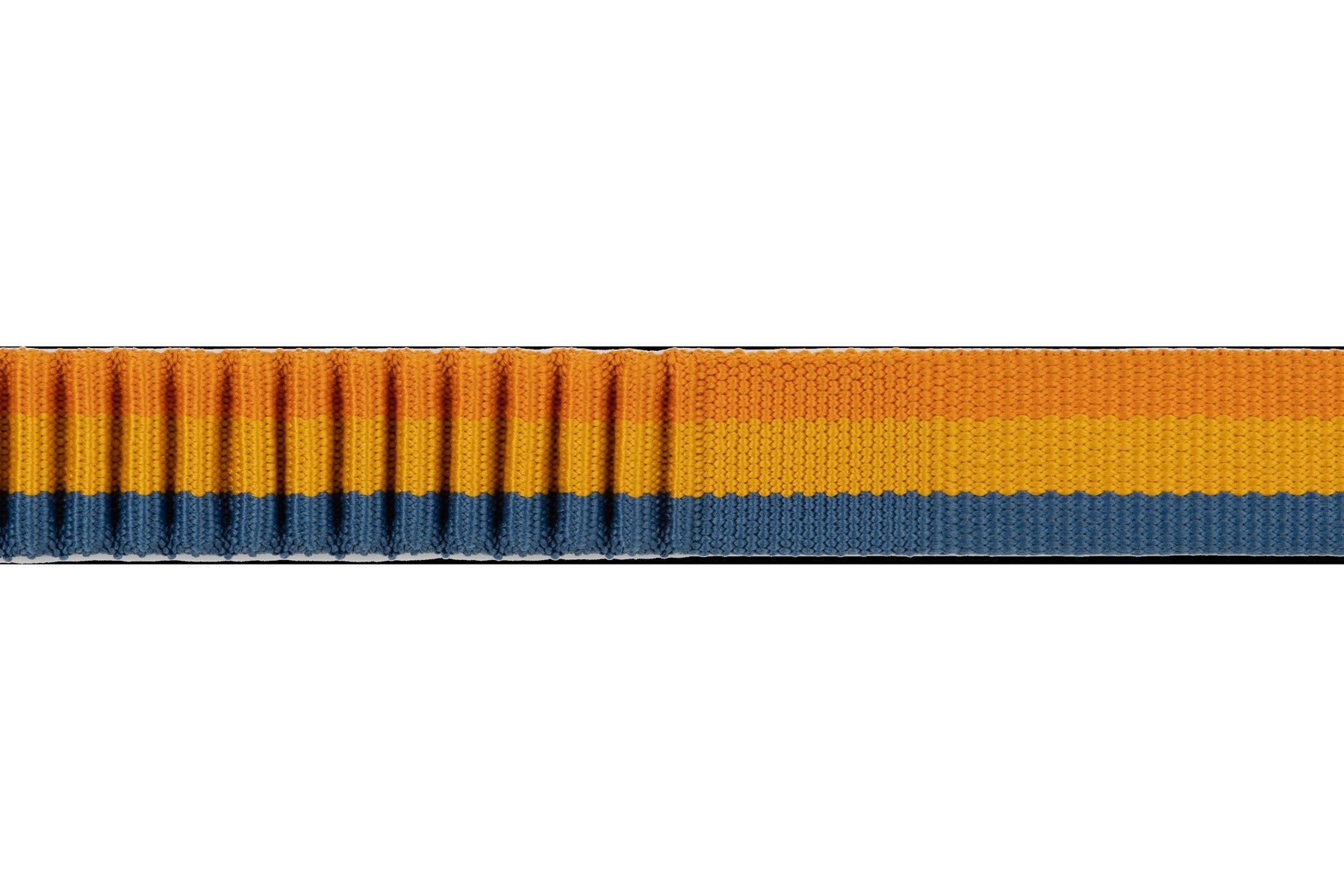 RoamerTM Bungee Dog Leash