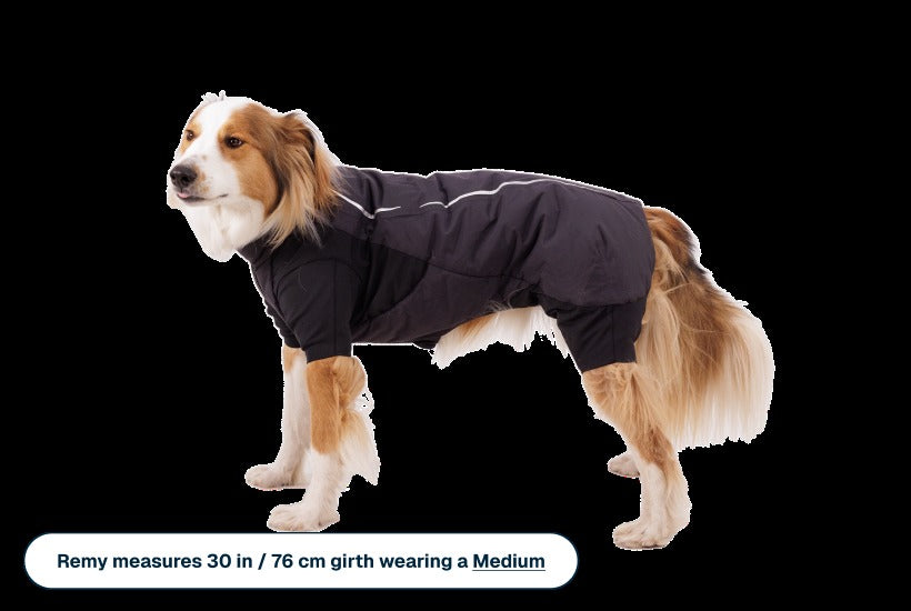 Powder HoundTM Waterproof Insulated Coverall