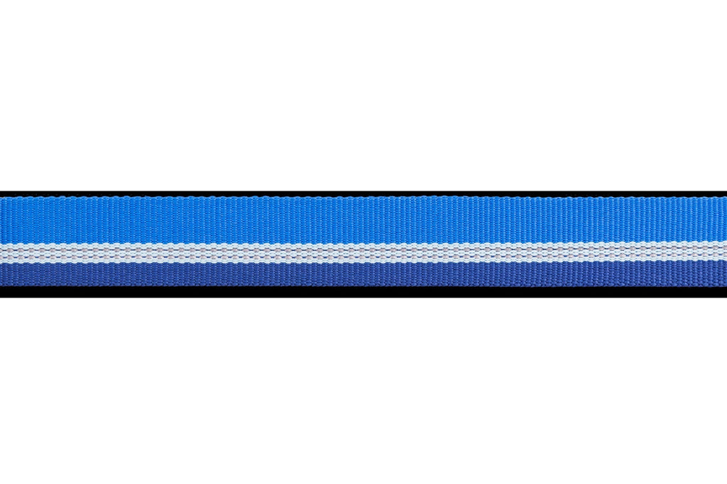 Chain ReactionTM Martingale Dog Collar